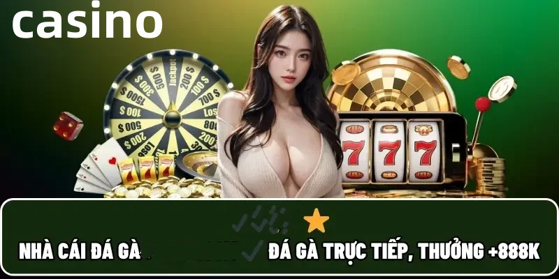 lo888